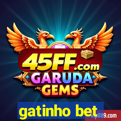 gatinho bet